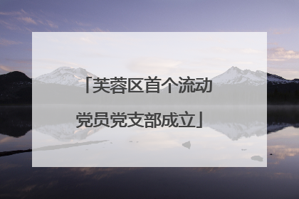 芙蓉区首个流动党员党支部成立